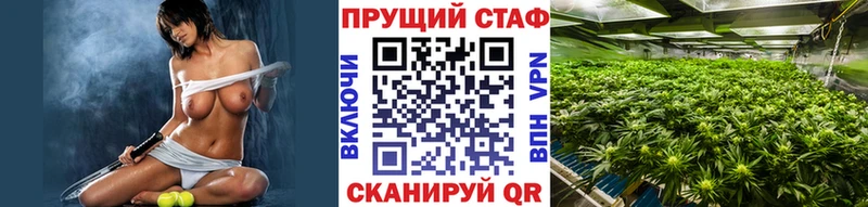 Где можно купить наркотики Анжеро-Судженск mega tor МЕФ АМФ Галлюциногенные грибы ГАШИШ СК