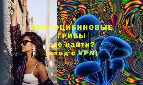 твердый Алексеевка