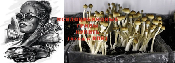 кокаин колумбия Алексин